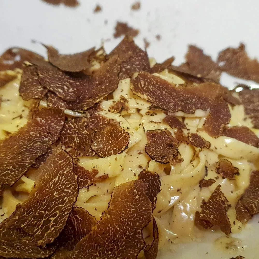 tartufo